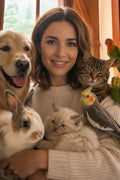 Premium pet accessories and gadgets.